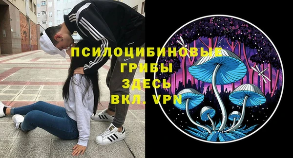 индика Армянск
