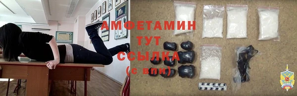 индика Армянск