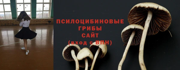 ПСИЛОЦИБИНОВЫЕ ГРИБЫ Алексеевка