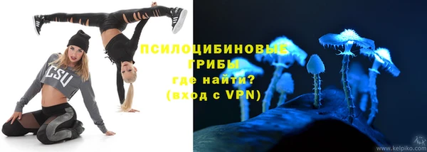 индика Армянск
