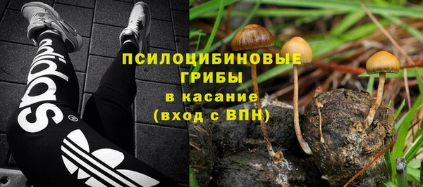 трава Арсеньев