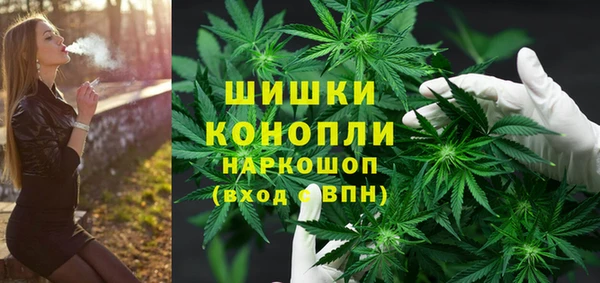 индика Армянск