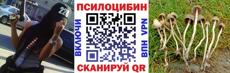 Галлюциногенные грибы ЛСД  купить закладку  Кирово-Чепецк 