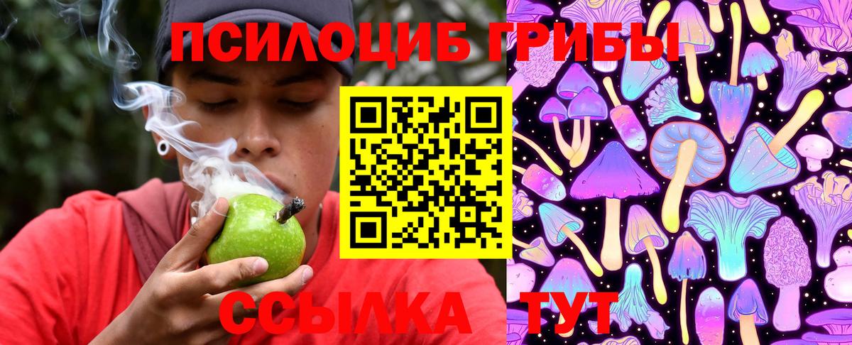 Галлюциногенные грибы MAGIC MUSHROOMS Кирово-Чепецк