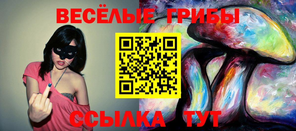 Кирово-Чепецк  Галлюциногенные грибы Cubensis  Вход с VPN  Псилоцибиновые грибы MAGIC MUSHROOMS 